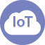 IoT